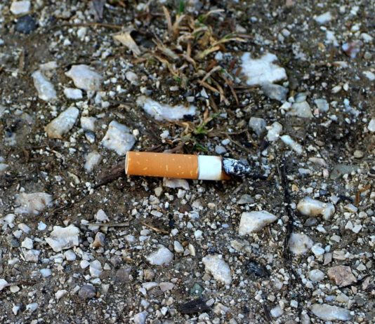 Brände: Météo-France startet Waldbrand-Warn-App. Zigarettenstummel