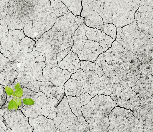 Dürre: Seen und Flüsse trocknen aus – Frankreich in höchster Alarmbereitschaft Trockenheit_Klimawandel