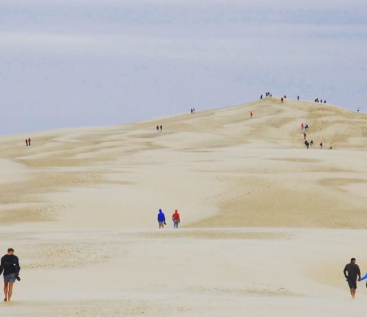 Gironde: Tourismusbranche hofft nach den Bränden auf die Rückkehr der Urlauber Dünen_von_Arcachon