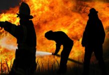 Portugal in Flammen: Der größte Waldbrand der Landesgeschichte verwüstet 64.000 Hektar Feuerwehr