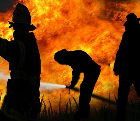 Portugal in Flammen: Der größte Waldbrand der Landesgeschichte verwüstet 64.000 Hektar Feuerwehr