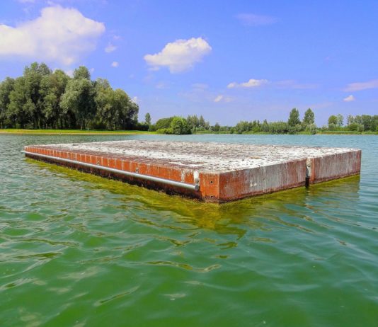 Globale Erwärmung: Die „Blaualge“ – ein Bakterium bedroht die Küsten Badesee