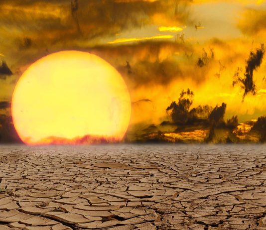 Globale Erwärmung: Laut Klimaforschern sind 50 Grad Hitze in einigen Jahren durchaus möglich Klimawandel