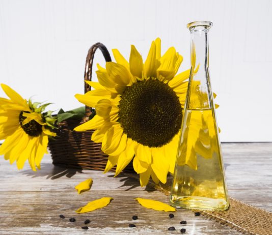 Diesel: Kann man stattdessen wirklich mit gebrauchtem Frittier- oder Speiseöl fahren? Speiseöl