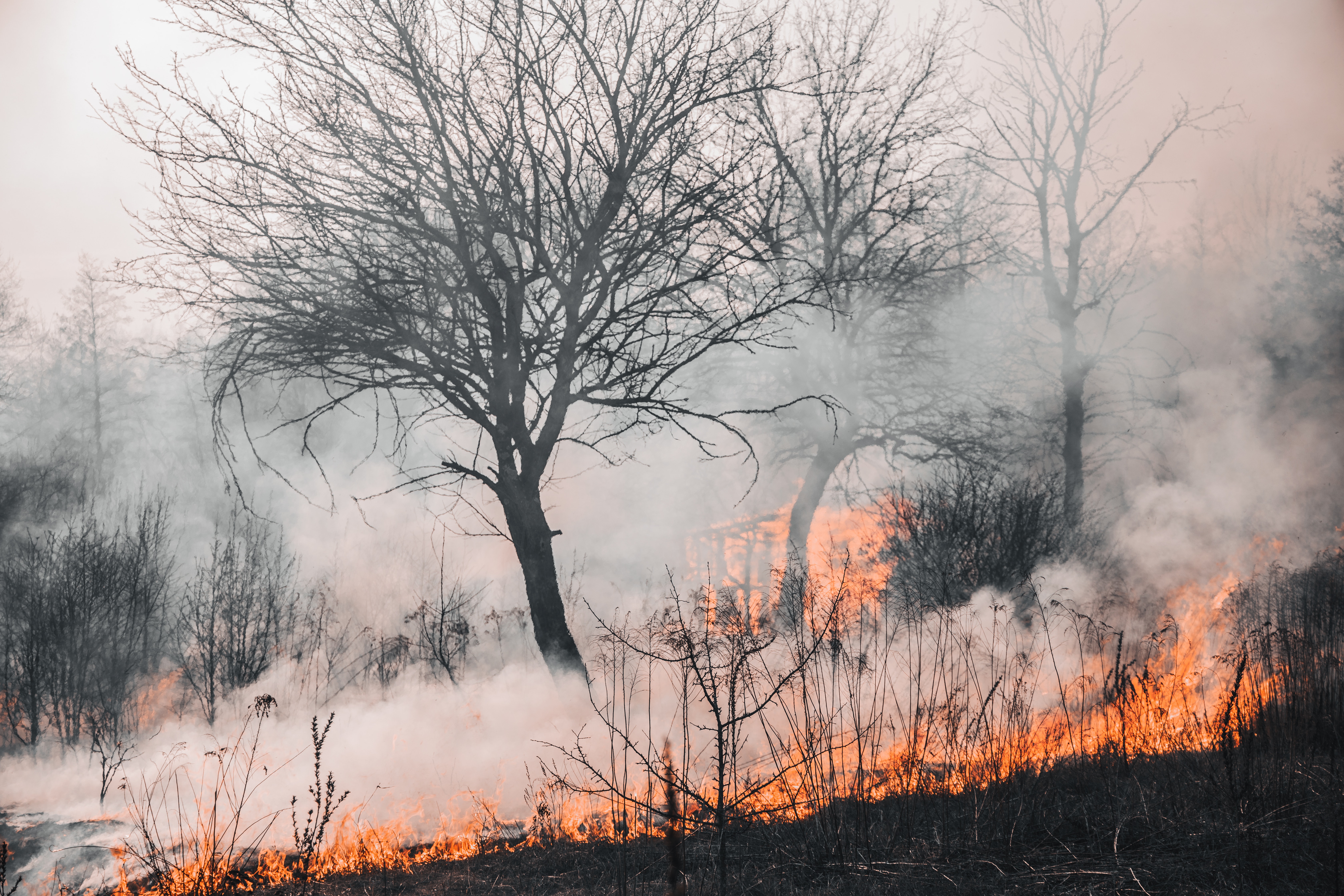 Neues Feuer in der Gironde: Nach "unruhiger Nacht" 3.500 Hektar verbrannte Fläche