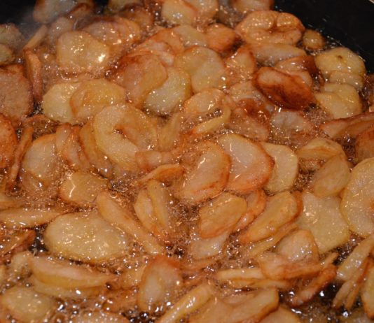 Parlament erlaubt Verwendung von Altöl als Autotreibstoff Frittierfett