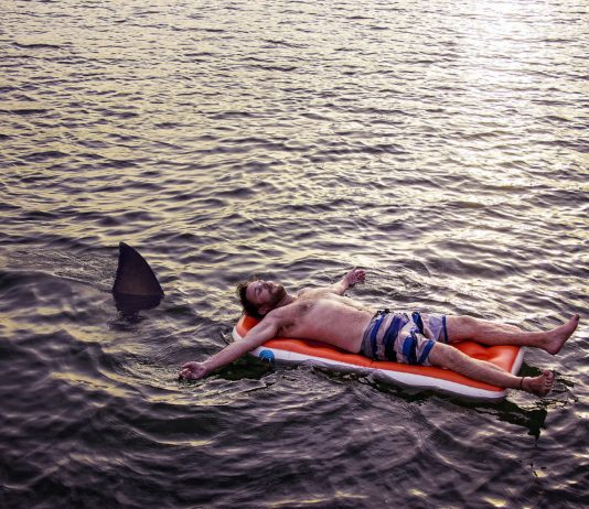 Warum man im Mittelmeer keine Angst vor Haien haben muss … Hai_Mittelmeer