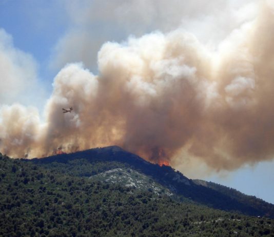 Paris, Tours, Orléans … Der Rauchgeruch der Brände in der Gironde ist Hunderte von Kilometern entfernt wahrnehmbar Waldbrand_Qualm