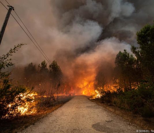 Gironde: Inzwischen 6.800 Hektar verwüstet – 1.100 Feuerwehrleute mobilisiert Die_Gironde_brennt