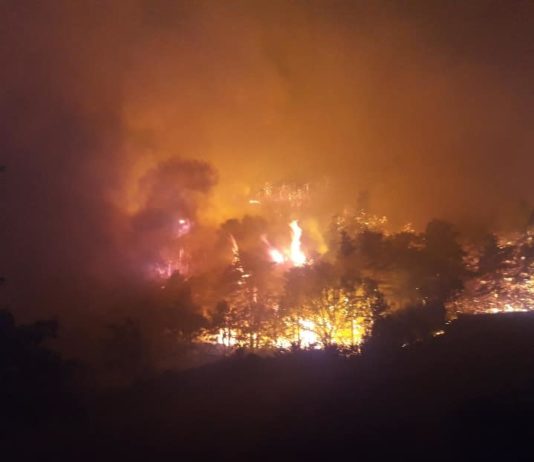 Lozère, Aveyron, Isère, Charente, Maine-et-Loire… Überblick über die aktuellen Brände in Frankreich Waldbrand_Aveyron