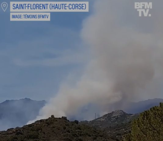 Waldbrand: In Korsika hat ein Feuer bereits 450 Hektar Vegetation zerstört Brand_Korsika