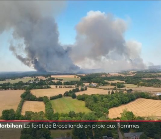 Feuer in der Bretagne: Das Juwel der Region, der Wald von Brocéliande, geht in Flammen auf Broceliande_Morbihan