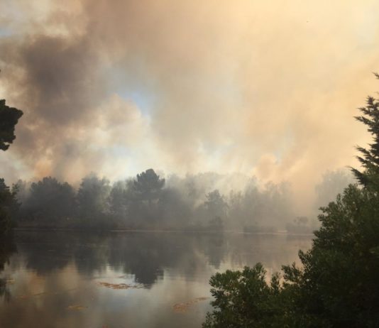 Bretagne: Zwei große Brände in Saint-Philibert und La Trinité-sur-mer Waldbrand_Morbihan