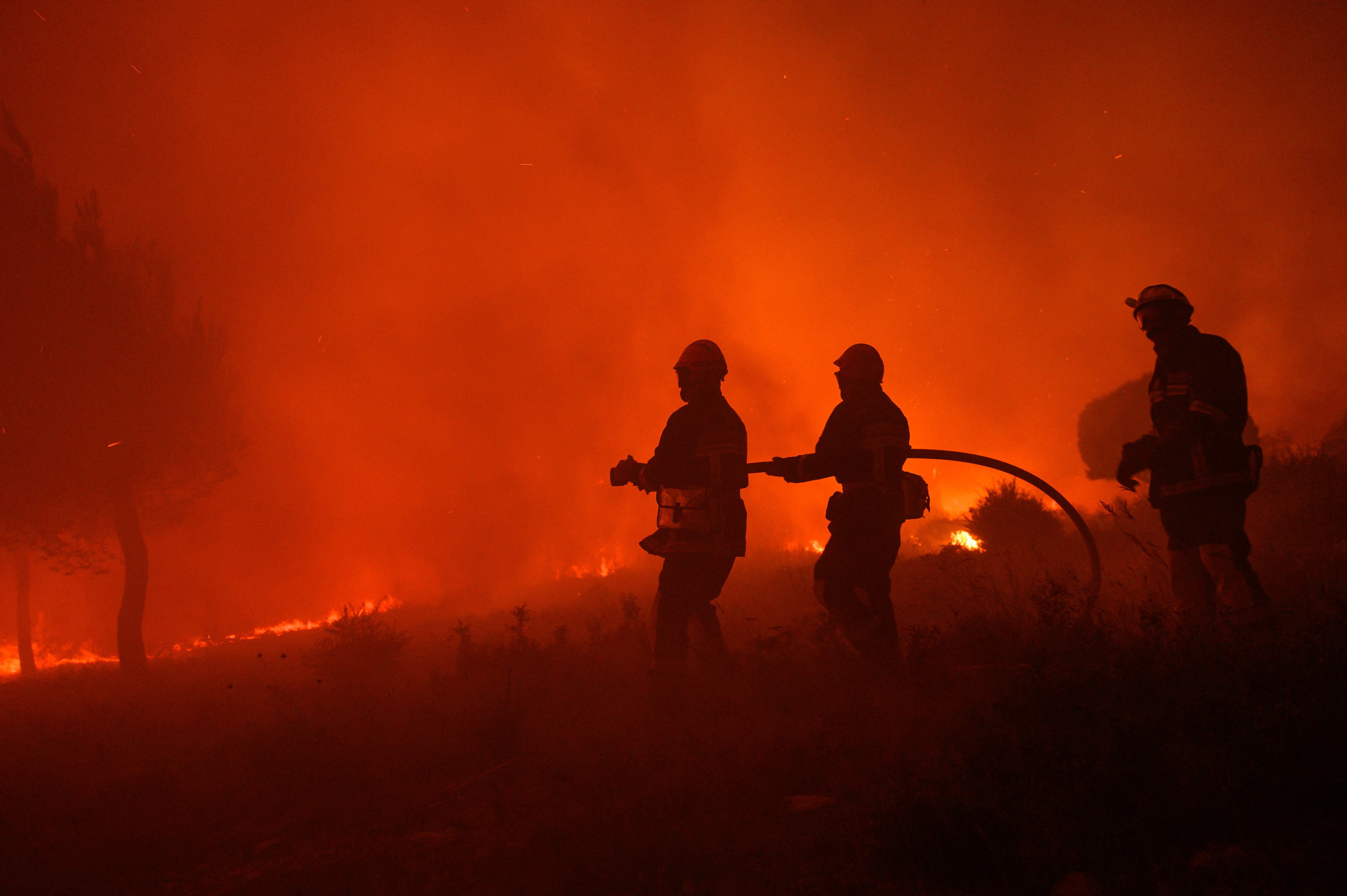 Feuer zwischen Lozère und Aveyron: 700 Hektar verbrannt - 3.000 Menschen in der Nacht evakuiert