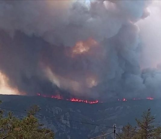Aveyron: Starkes Aufflammen des Feuers – weitere 500 Hektar verbrannt – 1.000 Menschen evakuiert Brand_Aveyron