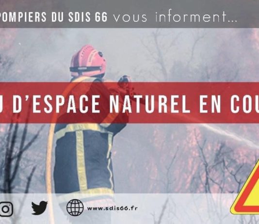 Pyrénées-Orientales: Grosses Feuer bricht in der Nacht aus – bereits über 100 Hektar verbrannt Feuerwehr_Pyrenäen