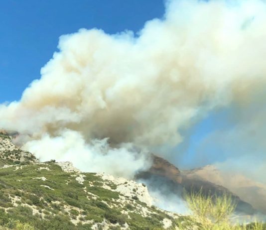 Bouches-du-Rhône: Gefährlicher Feuerausbruch in den Alpilles – 600 Feuerwehrleute mobilisiert Feuer_Alpilles
