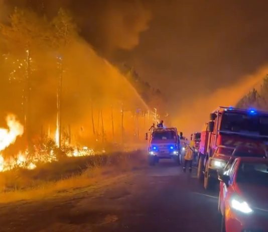 Gironde: Das Feuer „schreitet weiterhin schnell voran“ – Autobahn A63 wird gesperrt Feuerwehr_Gironde