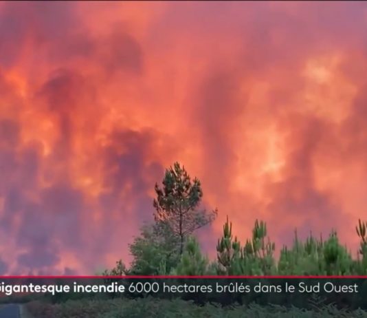 Gironde: Feuer breitet sich in rasender Geschwindigkeit aus (Video) Gironde_France2