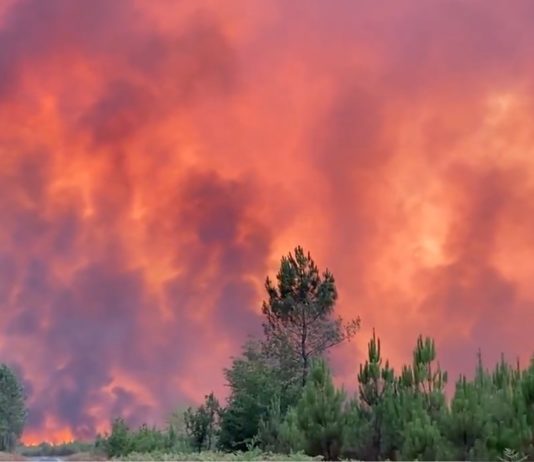 Monster-Feuer in der Gironde brennt erneut – tausende Hektar verbrannt – Bewohner zum zweiten Mal evakuiert Monsterbrand_Gironde