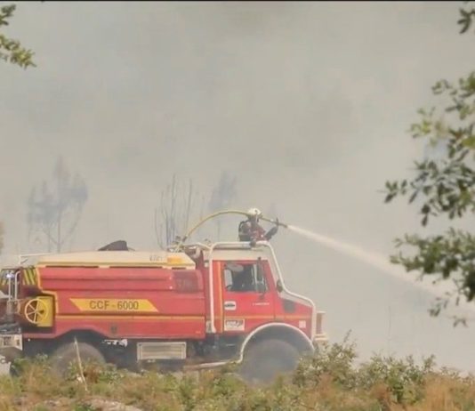 Brände in der Gironde und in den Landes: Feuerwehrleute kämpfen gegen Flammenwände Waldbrand_Gironde1208