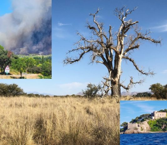 Waldbrände, das Ehepaar Macron in Brégançon, neue Hitzewelle – die wichtigsten Nachrichten des Wochenendes Wochenende