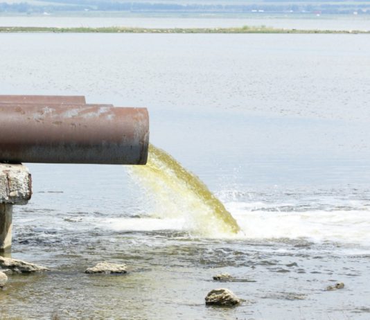 Französische Europaabgeordnete fordern Maßnahmen gegen britische Abwassereinleitungen im Ärmelkanal Verschmutzung_Ärmelkanal