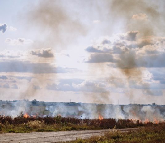 Waldbrand: Wiederaufnahme des TGV- und TER-Verkehrs südlich von Bordeaux Feuer