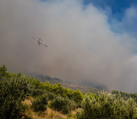 Brände in Frankreich: Rekordjahr 2022 Brand_Löschflugzeug