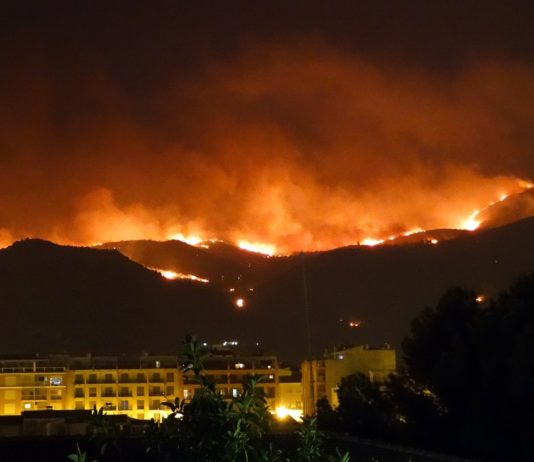 Waldbrände: 26 mutmaßliche Brandstifter wurden seit Beginn des Sommers in Frankreich festgenommen Waldbrand