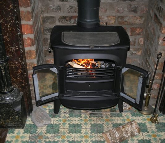 Energie: Franzosen greifen nach Holz Holzofen