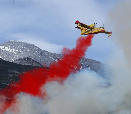 Darum ist das Wasser aus den Löschflugzeugen manchmal Löschflugzeug