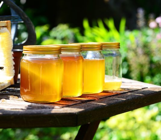 Dürre: Katastrophale Honigernte – ganze Bienenkolonien verschwinden Honig