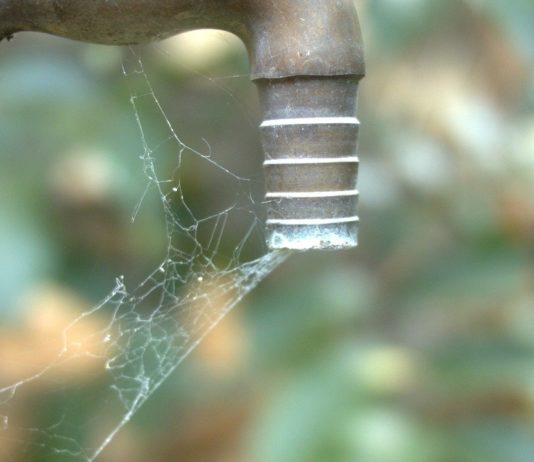 Wasserknappheit: In Bagnols-en-Forêt (Var) gibts nur noch 200 Liter/Tag und Haushalt Wasserknappheit