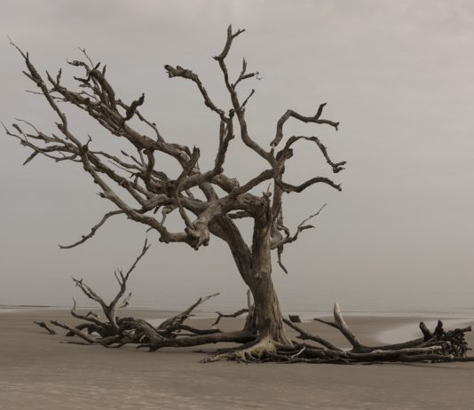 Globale Erwärmung: Frankreich wird +4 °C erreichen – weit über dem globalen Durchschnitt von +3 °C Trockenheit