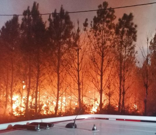Gironde: Das Feuer verbrennt weiterhin das Land Waldbrand