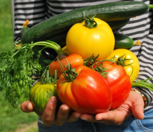 Franzosen entdecken den Gemüsegarten als Mittel gegen die Inflation Gemüsegarten