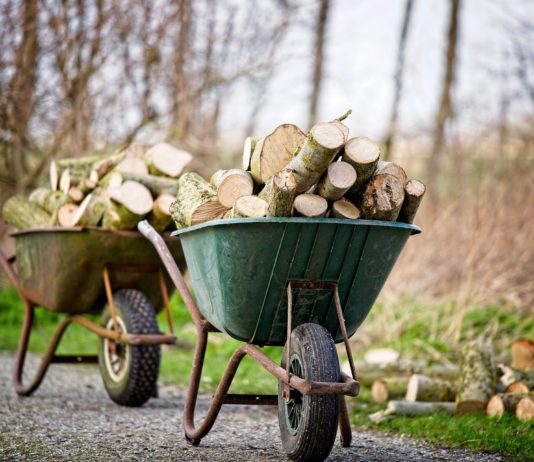Holzpreise: Franzosen wollen ihre Holzvorräte für den Kamin auffüllen Brennholz
