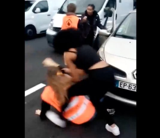 In der Nähe von Paris: Autofahrer zerren Umweltaktivisten von der Autobahn Autobahnblockade