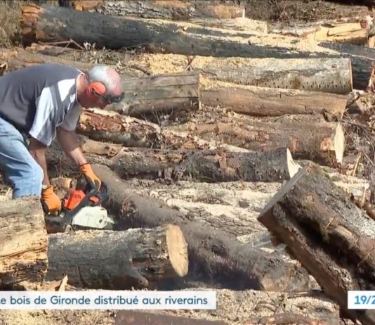 Brände in der Gironde: Anwohner bekommen jetzt kostenloses Holz Kostenloses_Holz