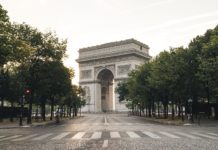 In französischen Städten sterben Bäume wegen der Sommerhitze Bäume_in_Paris