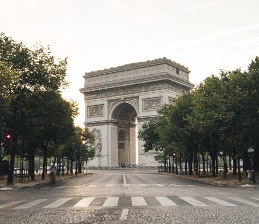 In französischen Städten sterben Bäume wegen der Sommerhitze Bäume_in_Paris