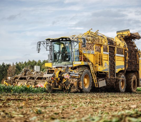 Dieselmangel: Landwirte müssen bald ihre Arbeit einstellen Rübenernte