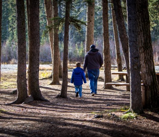 Benzinknappheit: Urlauber zögern mit der Abfahrt in die Herbstferien Herbstferien