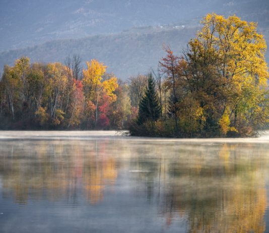 Elisabeth Borne stellt ihren Plan für ein grünes Frankreich vor Naturschutz_Frankreich