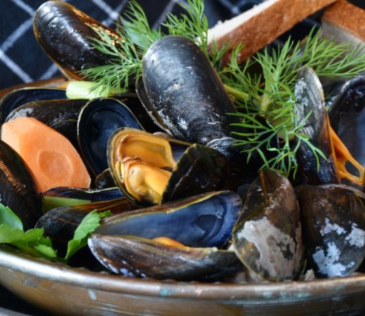 Produktrückruf: Muscheln sollen E. Coli- und Salmonellenerkrankungen verursachen Miesmuscheln