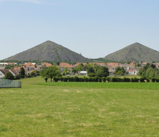 Umwelt: Ehemaliges Bergarbeiterdorf als ökologischer Vorreiter Loos-en-Gohelle