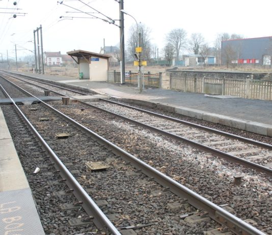 Ardennen: Ein Vater und seine 16-jährige Tochter werden von Güterzug getötet Bahnhof_Donchery