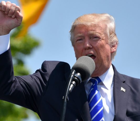 Donald Trump wird 2024 erneut ins Rennen um das Weiße Haus gehen Donal_Trump