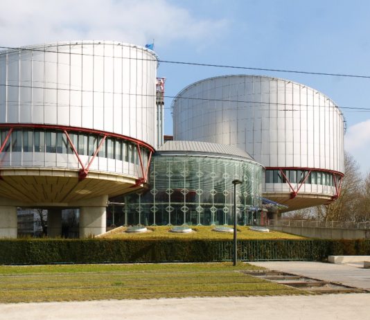 Frankreich nach sexuellem Missbrauch eines Pflegekindes vom Europäischen Gerichtshof verurteilt European_Court_of_Human_Rights